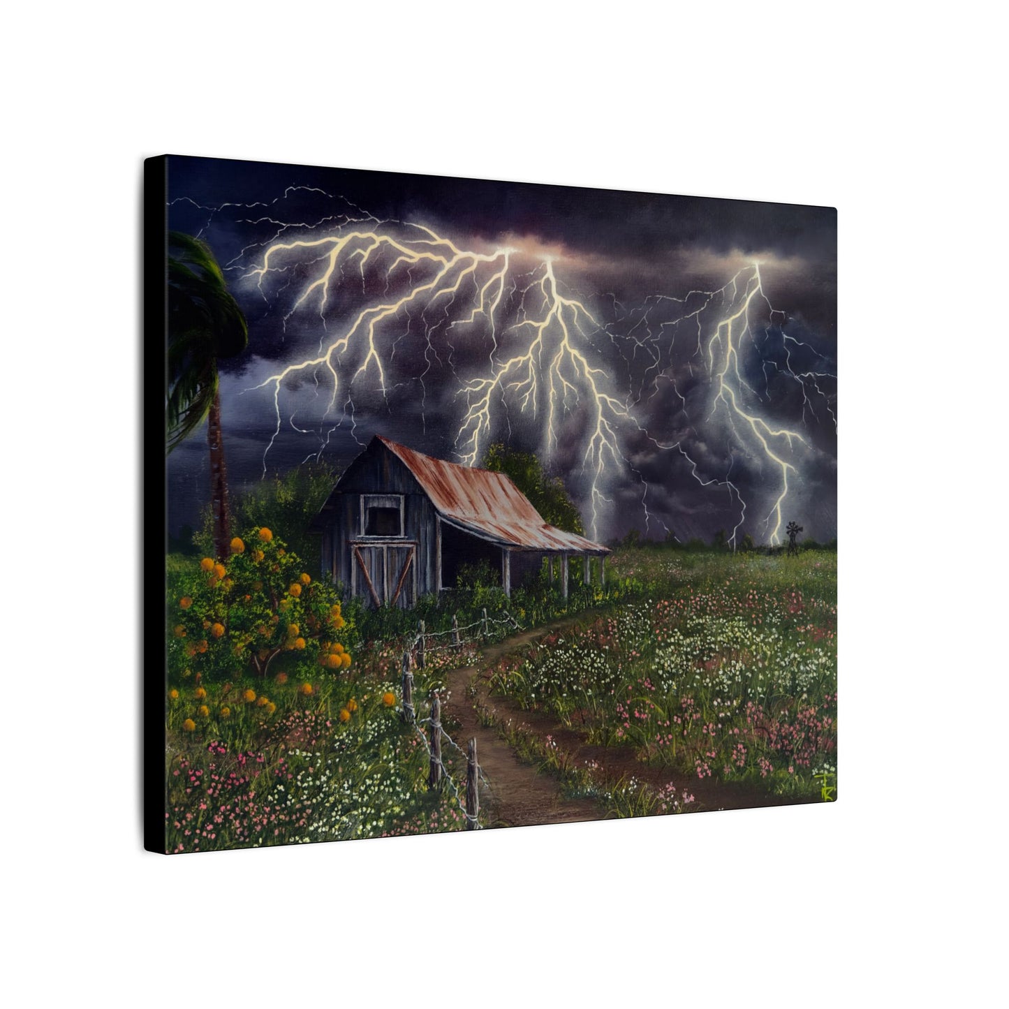 Southern Light Show - Matte Canvas, Stretched, 0.75" (Multi-Size)