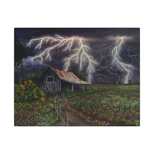 Southern Light Show - Matte Canvas, Stretched, 0.75" (Multi-Size)