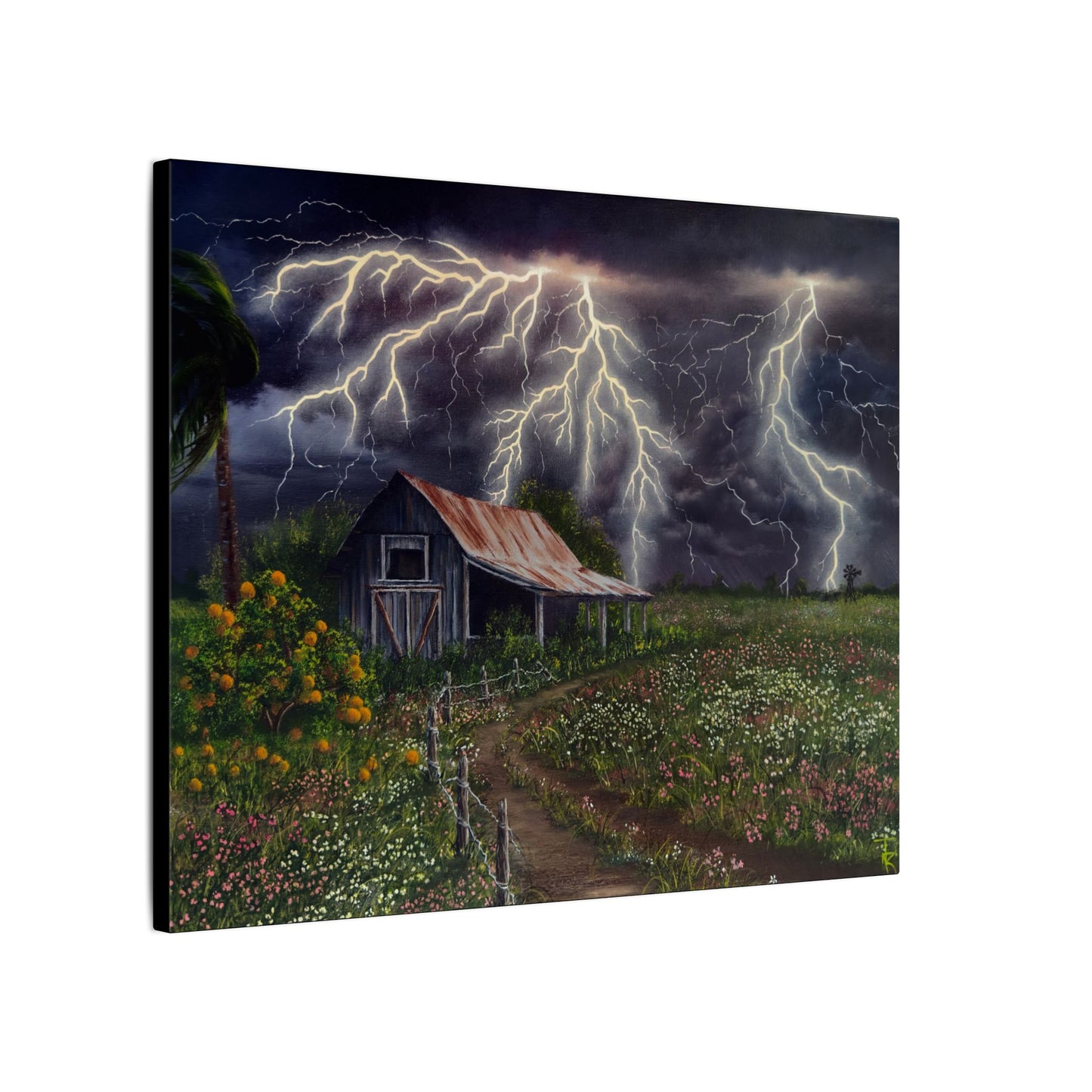 Southern Light Show - Matte Canvas, Stretched, 0.75" (Multi-Size)