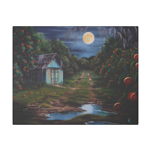 Moonlit Grove - Matte Canvas, Stretched, 0.75" (Multi-Size)