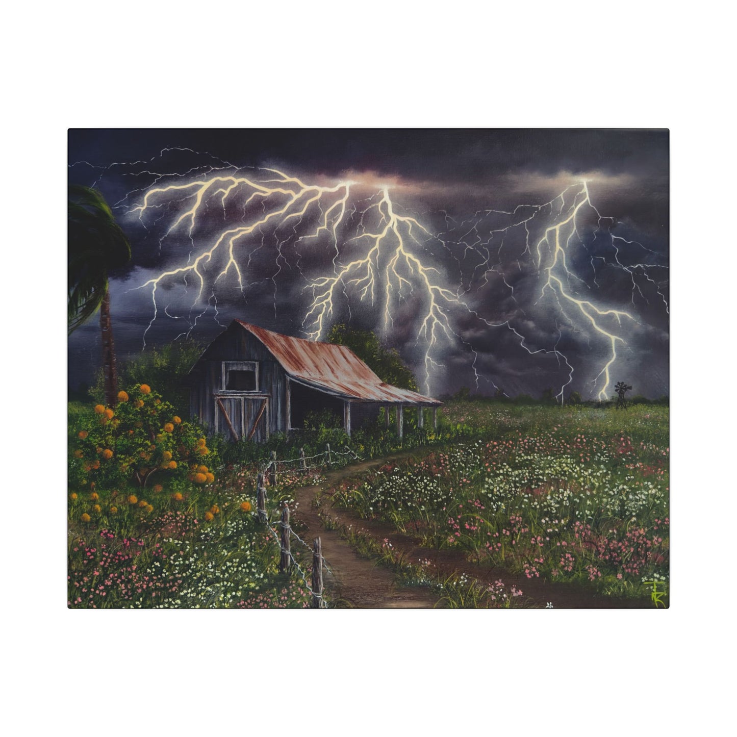 Southern Light Show - Matte Canvas, Stretched, 0.75" (Multi-Size)